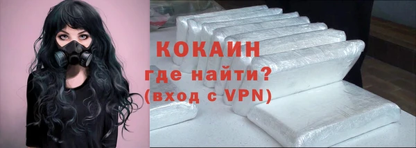 гашик Горняк
