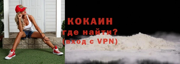 гашик Горняк