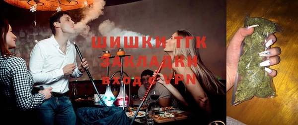 гашик Горняк