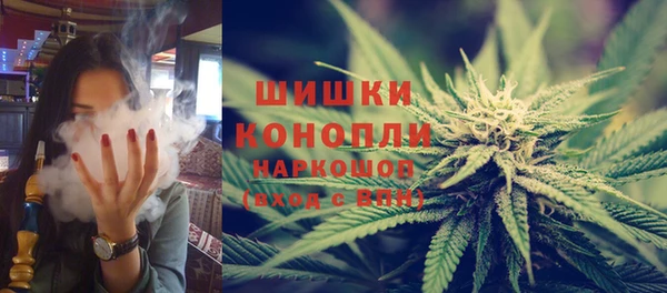 гашик Горняк