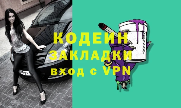 гашик Горняк
