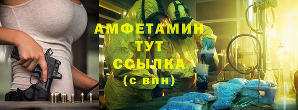 гидра Вязьма
