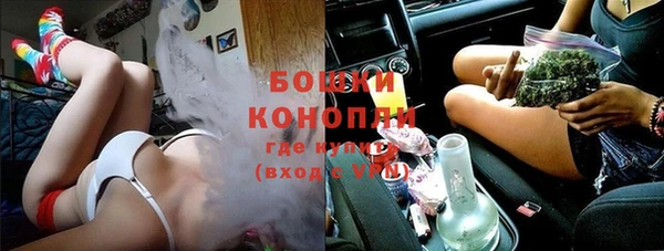 ПСИЛОЦИБИНОВЫЕ ГРИБЫ Вязники