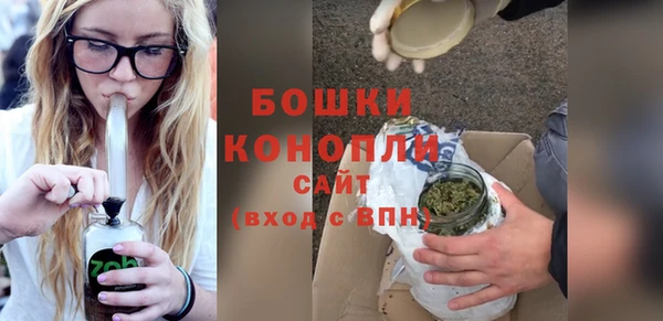 гашик Горняк