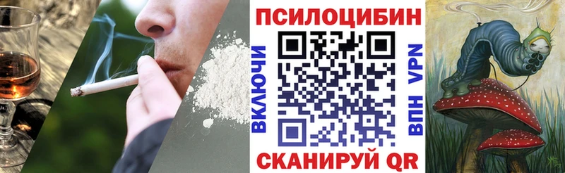 Купить закладки Сердобск Галлюциногенные грибы мухоморы